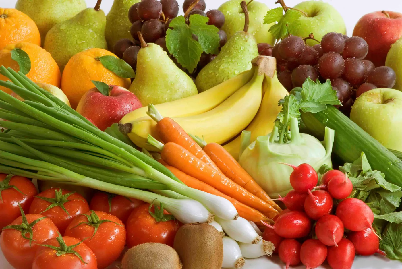 Babord debat sobre com defensar la sobirania alimentària