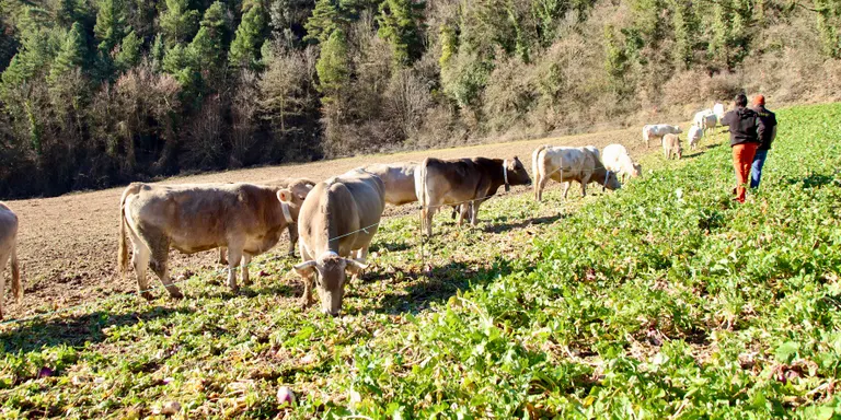El Departament d'Agricultura posa en marxa un programa de mentories per combatre la falta de relleu generacional al sector primari