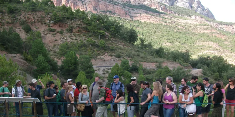 Els millors paleontòlegs mundials avalen el jaciment de Coll de Nargó