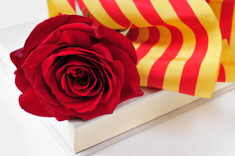 Especial Sant Jordi 2017