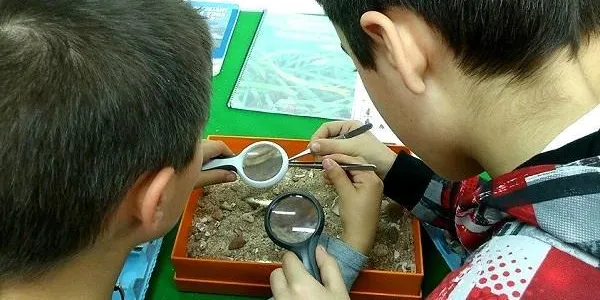 El Nadal, protagonista de la nova sessió de l’Escola de Naturalistes El Corriol d’Altafulla