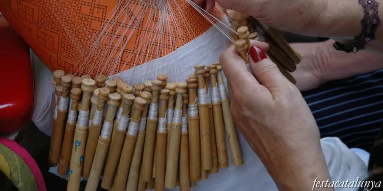 227 puntaires de Pineda i comarca aquest diumenge a la nova Trobada de Puntaires a Pineda