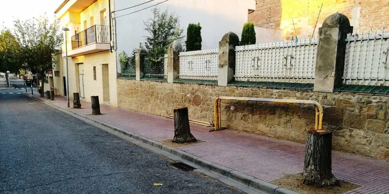 Talen sis arbres del carrer Passeig Nou perquè estaven malalts