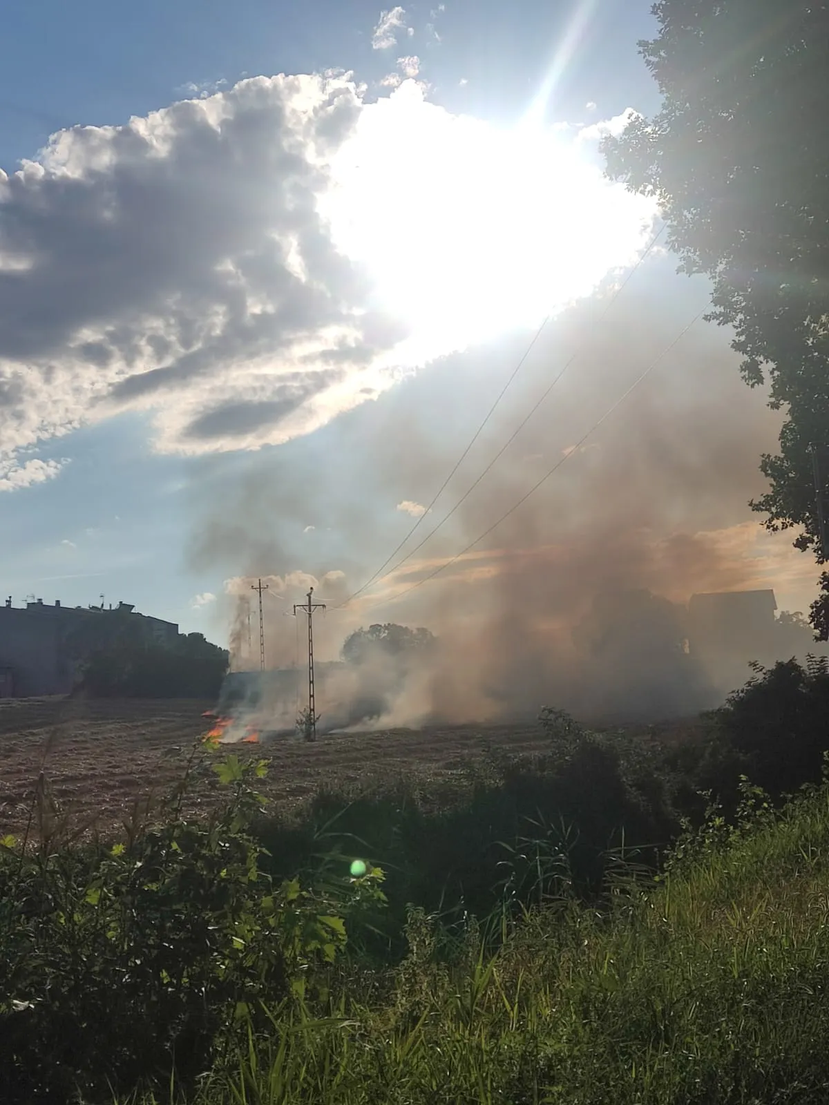 Ensurt a Solsona per l'incendi de dos camps a la zona de Cal Sotaterra