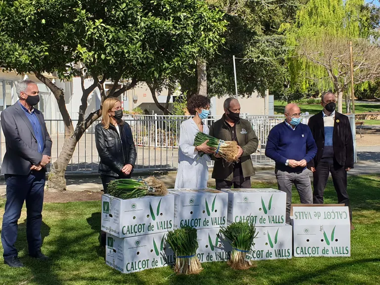Els calçots IGP Calçot de Valls arriben a residències de gent gran