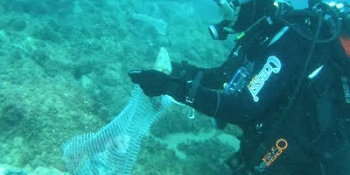 Engeguen una prova pilot de neteja del fons marí de platges del Maresme