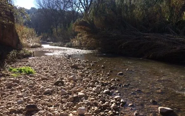 Foto: Associació Mediambiental La Sínia
