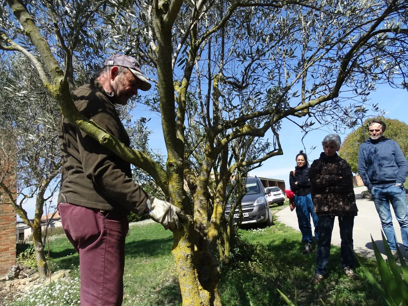 El taller de poda de restauració d'arbres fruiters antics de l'Actua de l'Arada arriba a la 15a edició