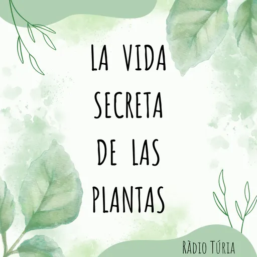 La vida secreta de las plantas