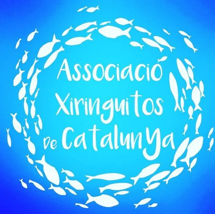 Neix una nova associació a Catalunya per representar les guinguetes de platja