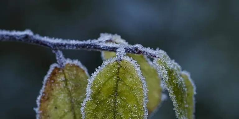 Bons temps amb alguns núvols baixos i fred