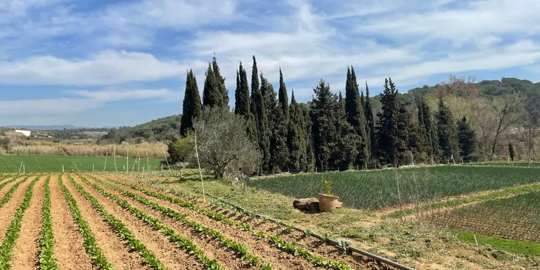 Obertes les inscripcions per a la 3a Jornada d’Horticultura a la Torre Marimon