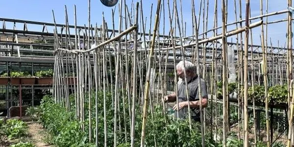 Torredembarra posa en marxa la consulta pública prèvia sobre el nou reglament d’ús dels horts socials de Cal Dània