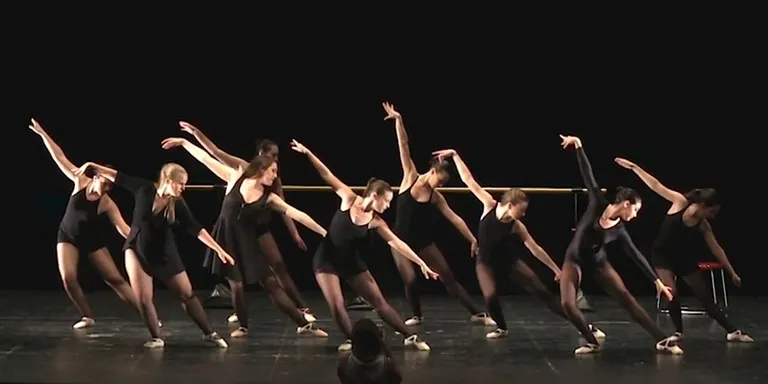 Adanubi clou el curs amb un festival a La Sala