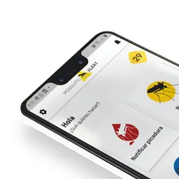 Coneixem l'app Mosquito Alert - episode art