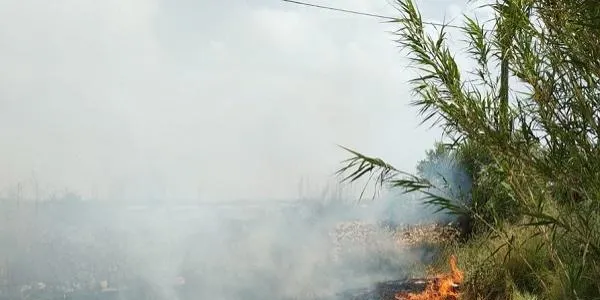 L’Associació Mediambiental la Sínia alerta del perill d’incendi forestal al Baix Gaià