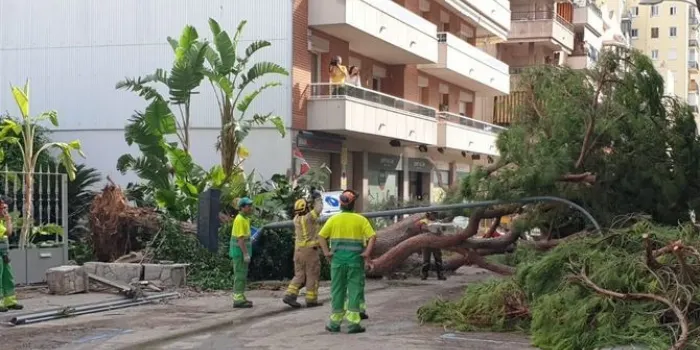 Les pluges han deixat dos litres per metre quadrat a la nostra vila