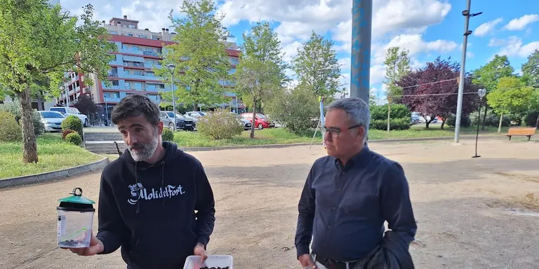 Balanç satisfactori dels primers dies de la campanya de control de la vespa asiàtica
