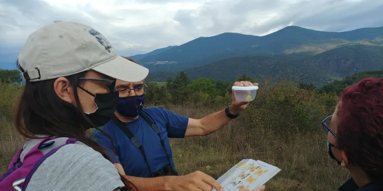 La Seu Urgell organitza un nou BioBlitz al Pla de les Forques