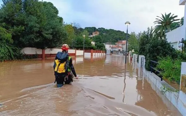 Foto: Bombers de la Generalitat (Arxiu)