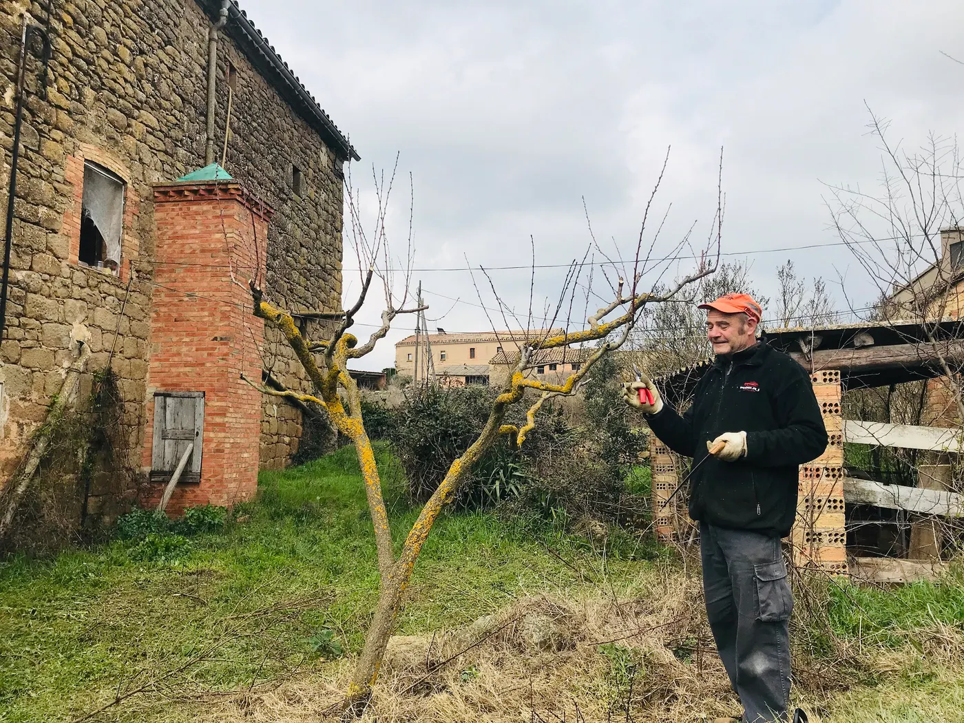 L'Arada ha programat per dissabte la 13a edició del Taller de poda de restauració d'arbres fruiters antics