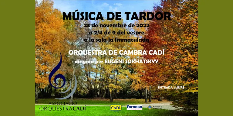 L'Associació Orquestra Cadí organitza el Concert de Música de Tardor