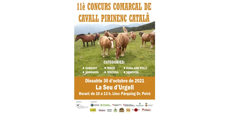 La Seu d'Urgell acull l'11è Concurs Comarcal de Cavall Pirinenc Català