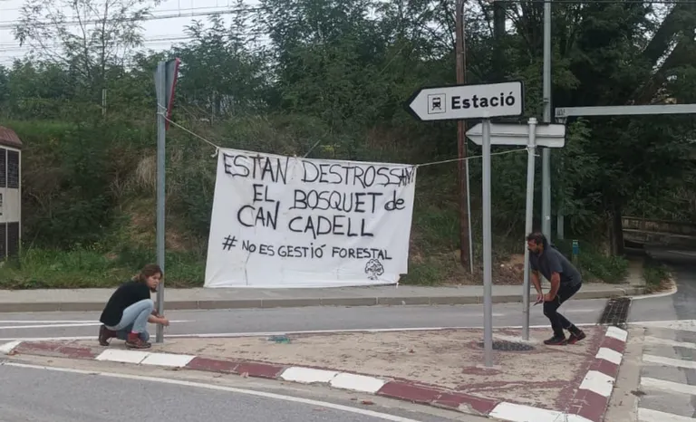 Protesta veïnal per l’extracció d’alzines a Sant Feliu de Buixalleu