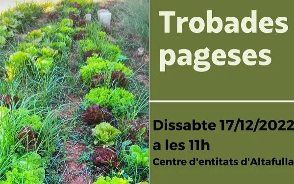 Foto: Associació Mediambiental La Sínia