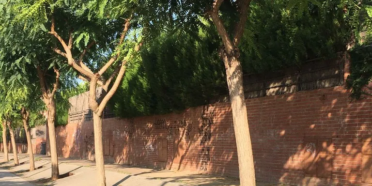 Entrem a la Fundació Viver de Bell-lloc, una entitat amb finalitat social, que s’ocuparà de l’arbrat municipal