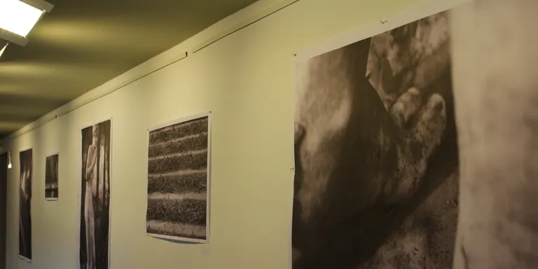 Últims dies per visitar l'exposició 'Jardins Costa Brava Sud', de Marta Belmonte