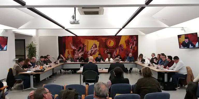 El ple de Pineda aprova una moció en defensa dels drets de les dones