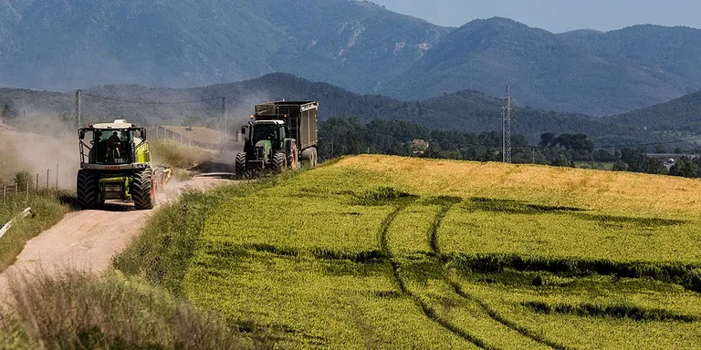 La junta de portaveus del Parlament dona llum verda a una declaració de suport al sector agrari català