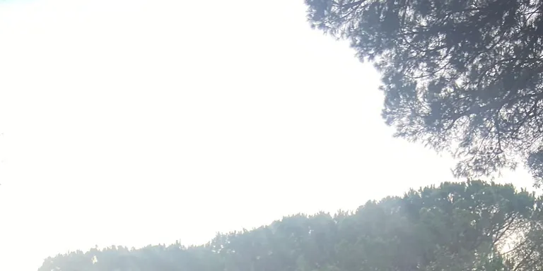 Un cotxe s'estimba per un marge de sis metres a la carretera de Sant Iscle
