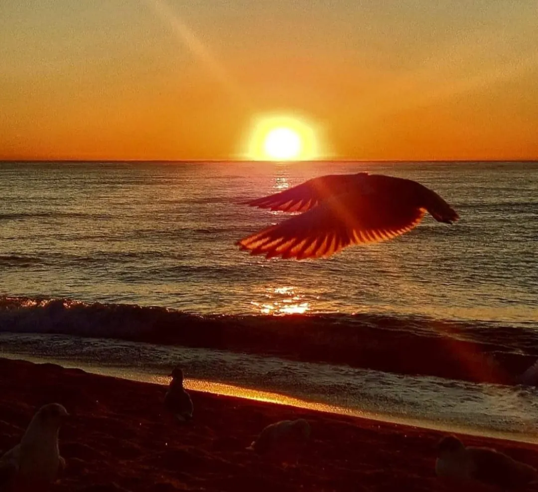 Domini del sol i remuntada de les temperatures