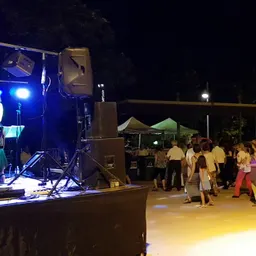 Entrevistes de la Justa del 28/6/2019 — Revetlla de Sant Pere a les Basses de Sant Pere (Sant Just): botifarrada, boleros i pop en directe - episode art