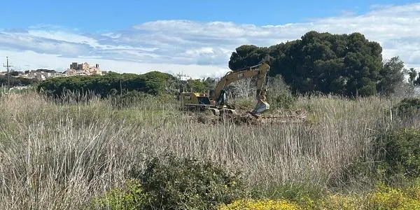 La renaturalització de la Plana del Vinyet comença a prendre forma