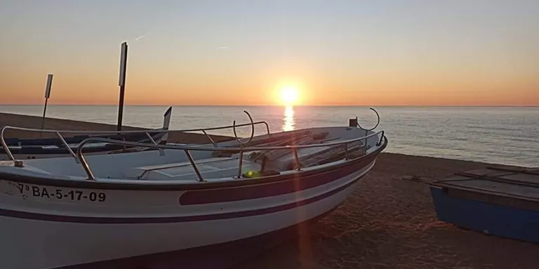 Sense gaires canvis destacats