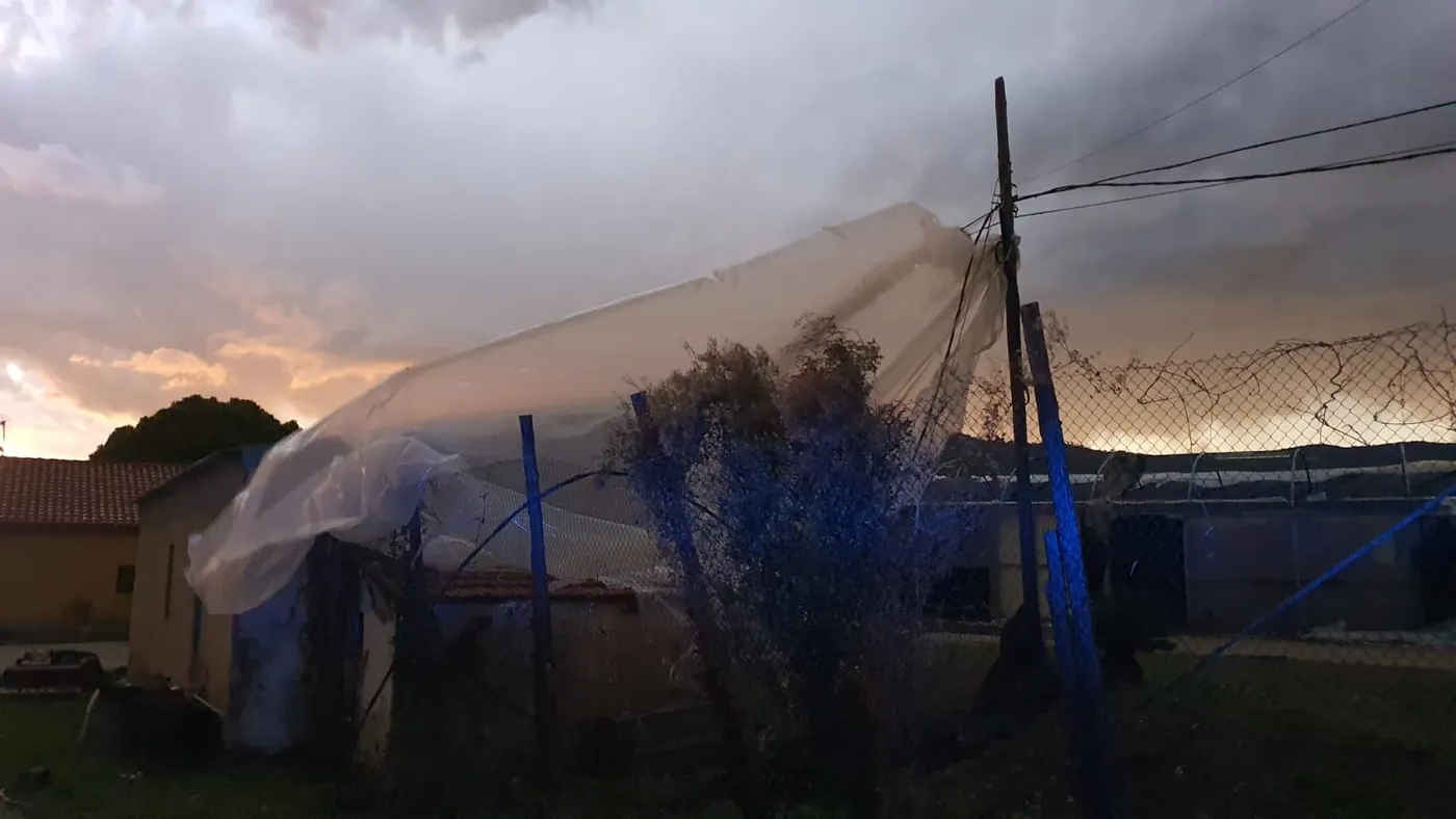 Una forta ràfega de vent s’ha emportat el sostre d’un hivernacle a la zona del Mercat de la Flor