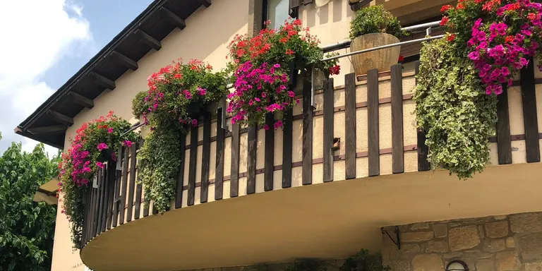 Obertes les inscripcions al Concurs de flors als balcons de Solsona