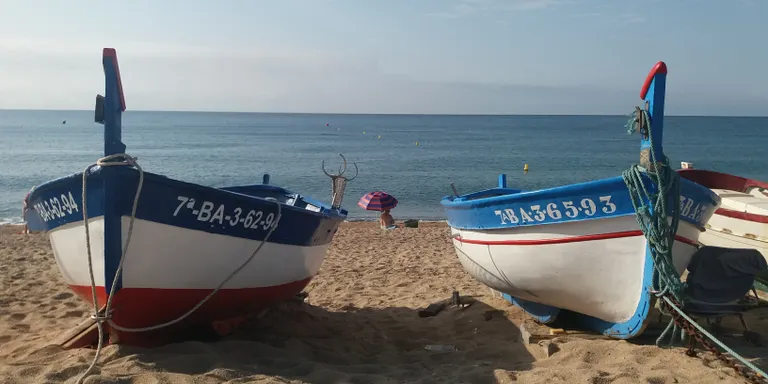 Temps estiuenc els propers dies