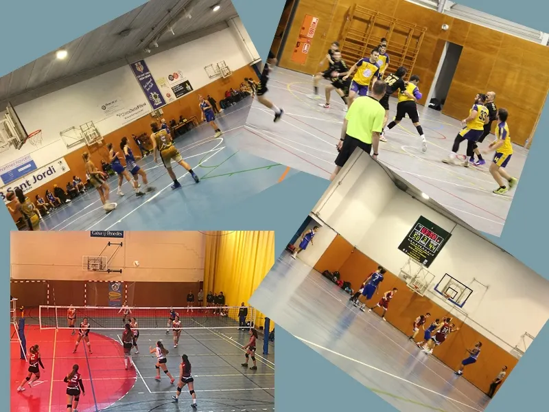 Bàsquet, handbol i vòlei van tancar l'any a casa / Fotomuntatge