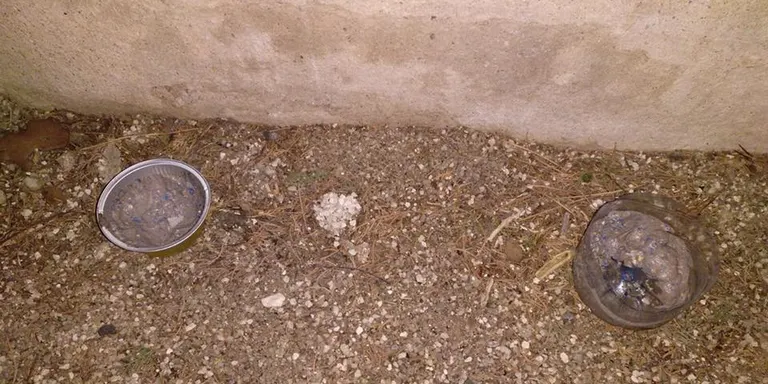 El Centre Excursionista de Rubí (CER) i Rubí d’Arrel continuen treballant per una nova xarxa d’itineraris