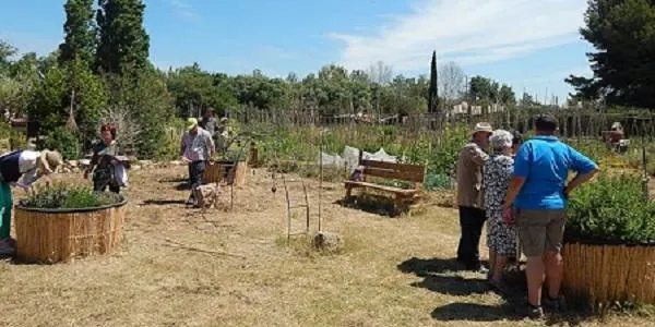 L'Hort de la Sínia d'Altafulla posa en marxa uns tallers d'hort social i terapèutic renovats