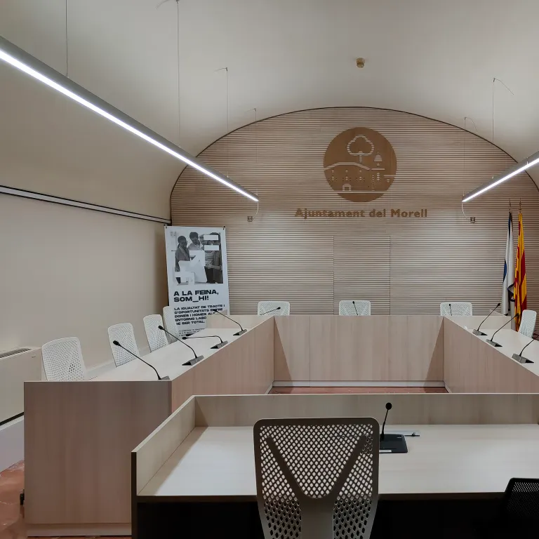 Plens Municipals
