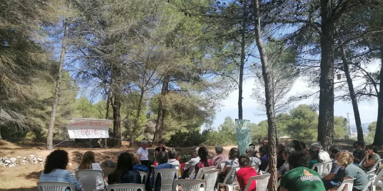 El debat Punt de Mira reflexiona sobre el talent dels joves