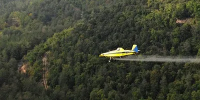 Agricultura fumiga 2.370 hectàrees del nord-oest del Solsonès per combatre la processionària del pi