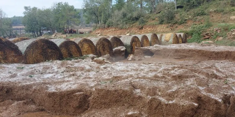 La tempesta de la matinada de dissabte fa estralls a Navès