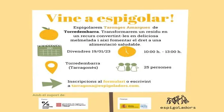 Jornada per espigolar taronges a Torredembarra, aquest divendres