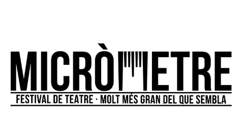 Els pinedencs Jaume Casals i Francesc Millán al Festival Micrometre